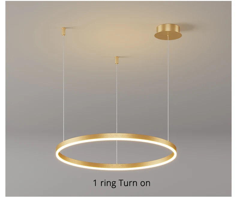 Modern LED circular ring chandelier installed above a dining table in a contemporary luxury home.