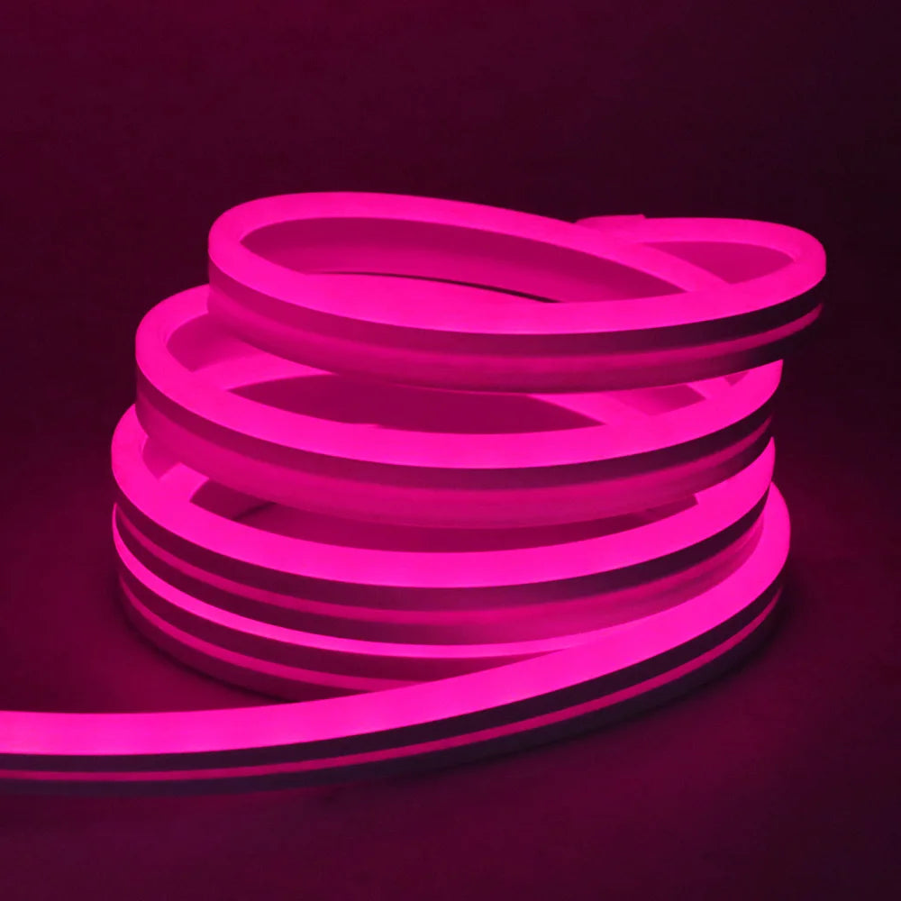 RGB Neon LED Strip 24V Bluetooth Music Sync Waterproof Rope Light