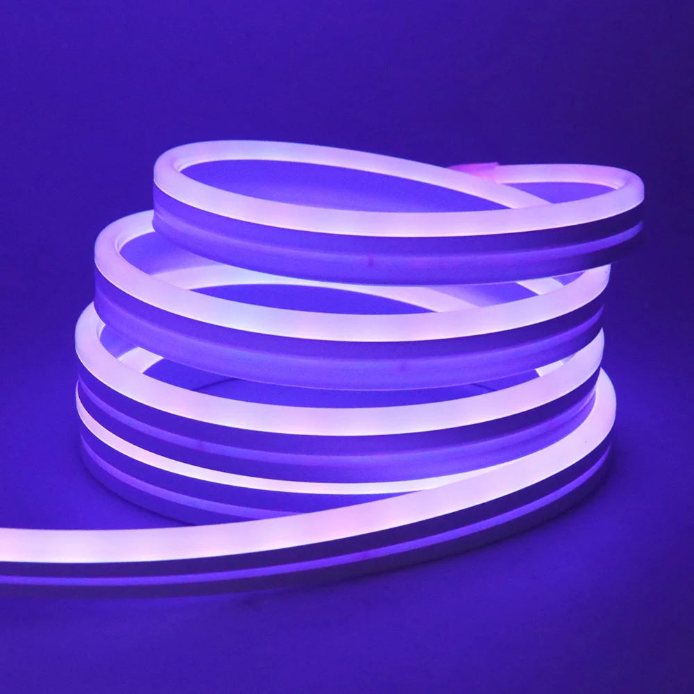 RGB Neon LED Strip 24V Bluetooth Music Sync Waterproof Rope Light