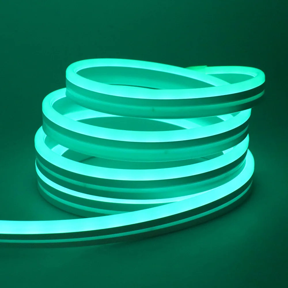 RGB Neon LED Strip 24V Bluetooth Music Sync Waterproof Rope Light