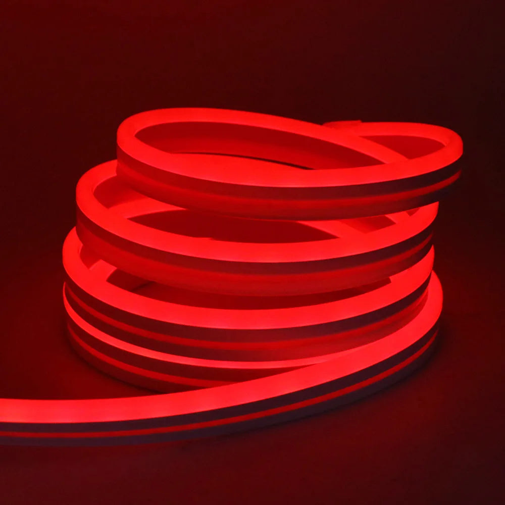 RGB Neon LED Strip 24V Bluetooth Music Sync Waterproof Rope Light