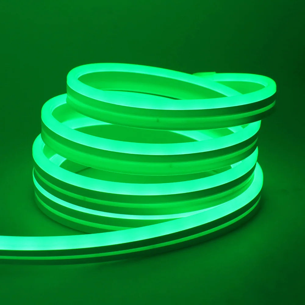 RGB Neon LED Strip 24V Bluetooth Music Sync Waterproof Rope Light