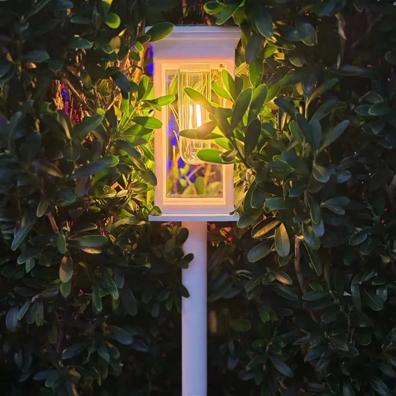 Solar LED Pathway Lights Waterproof  for Garden & Driveway Paths