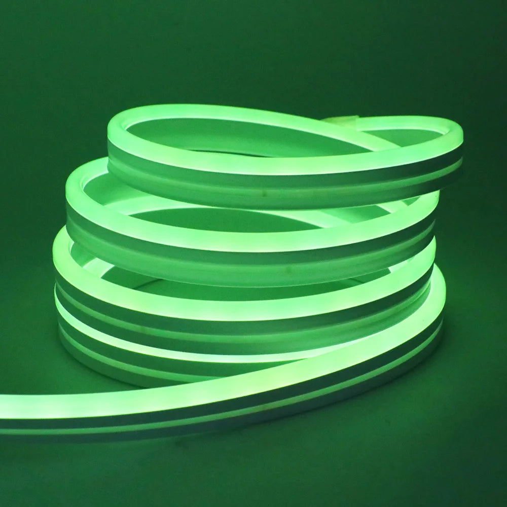 RGB Neon LED Strip 24V Bluetooth Music Sync Waterproof Rope Light