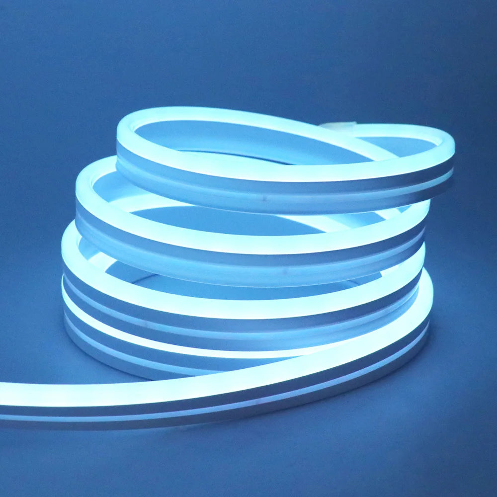 RGB Neon LED Strip 24V Bluetooth Music Sync Waterproof Rope Light