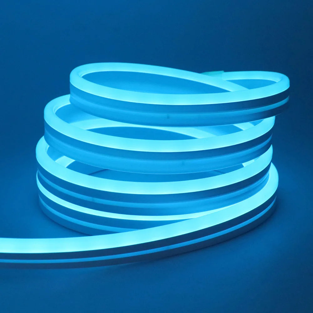 RGB Neon LED Strip 24V Bluetooth Music Sync Waterproof Rope Light