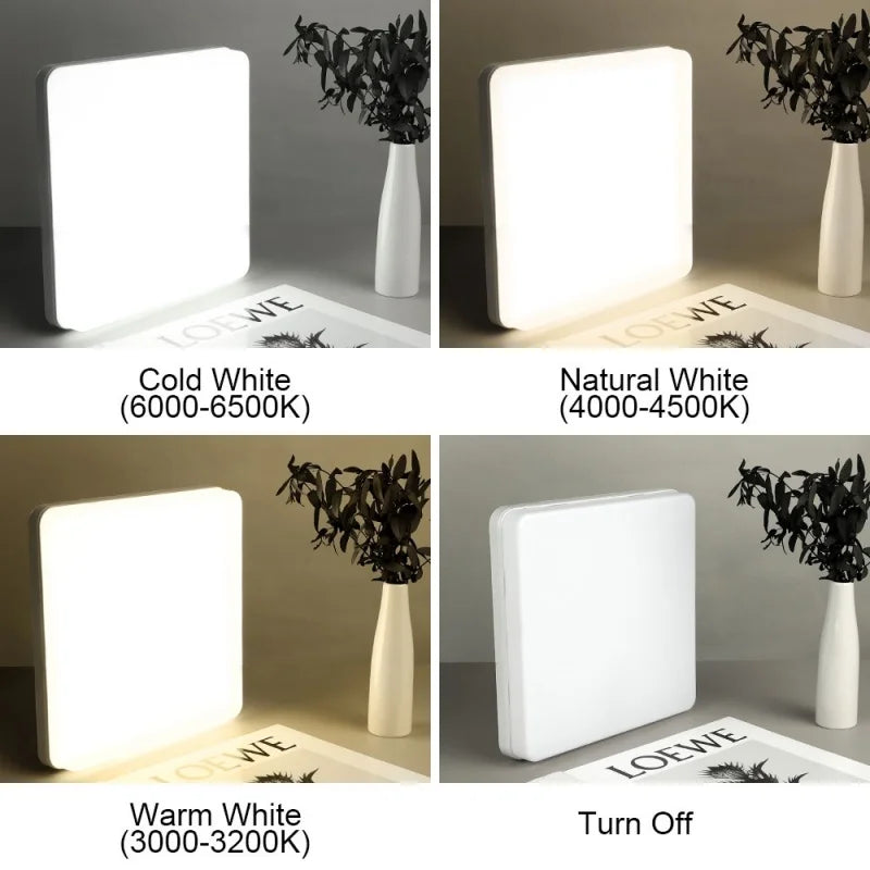 Modern LED flush mount ceiling light installed in a stylish living room with bright energy-efficient illumination.