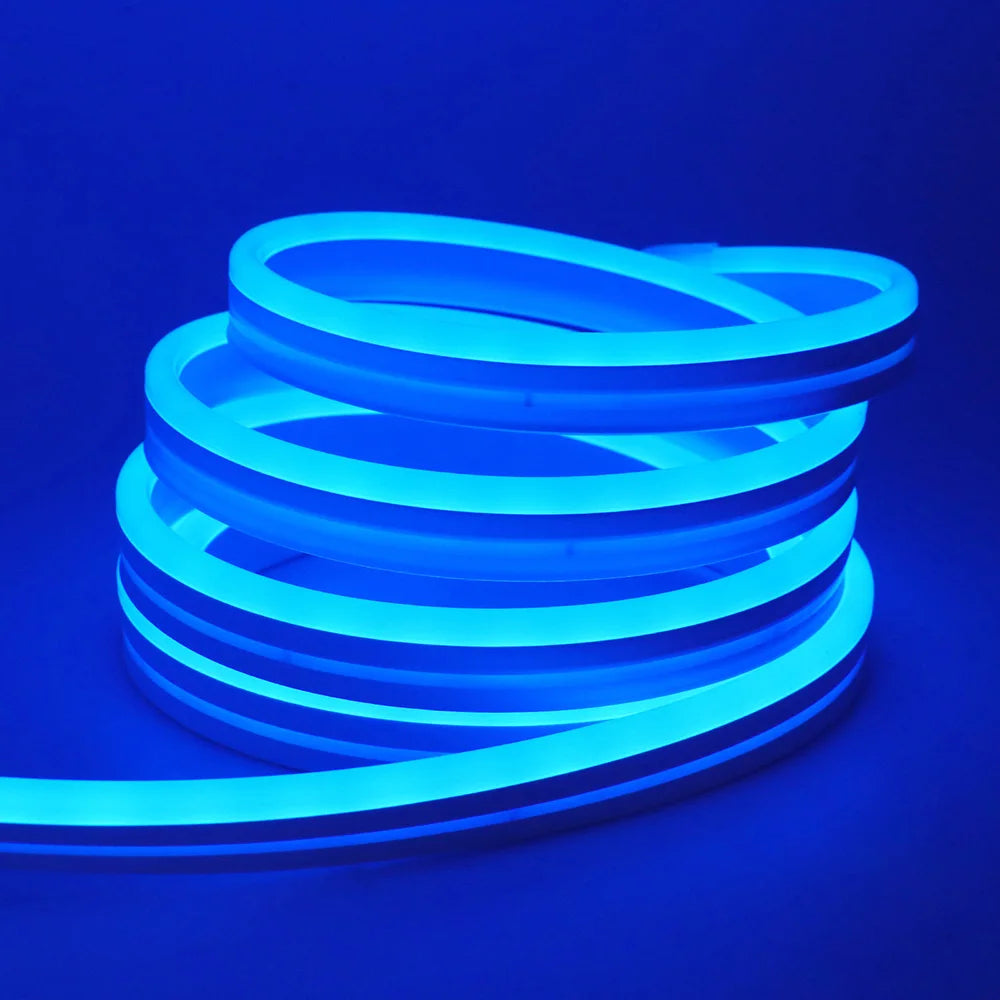 RGB Neon LED Strip 24V Bluetooth Music Sync Waterproof Rope Light