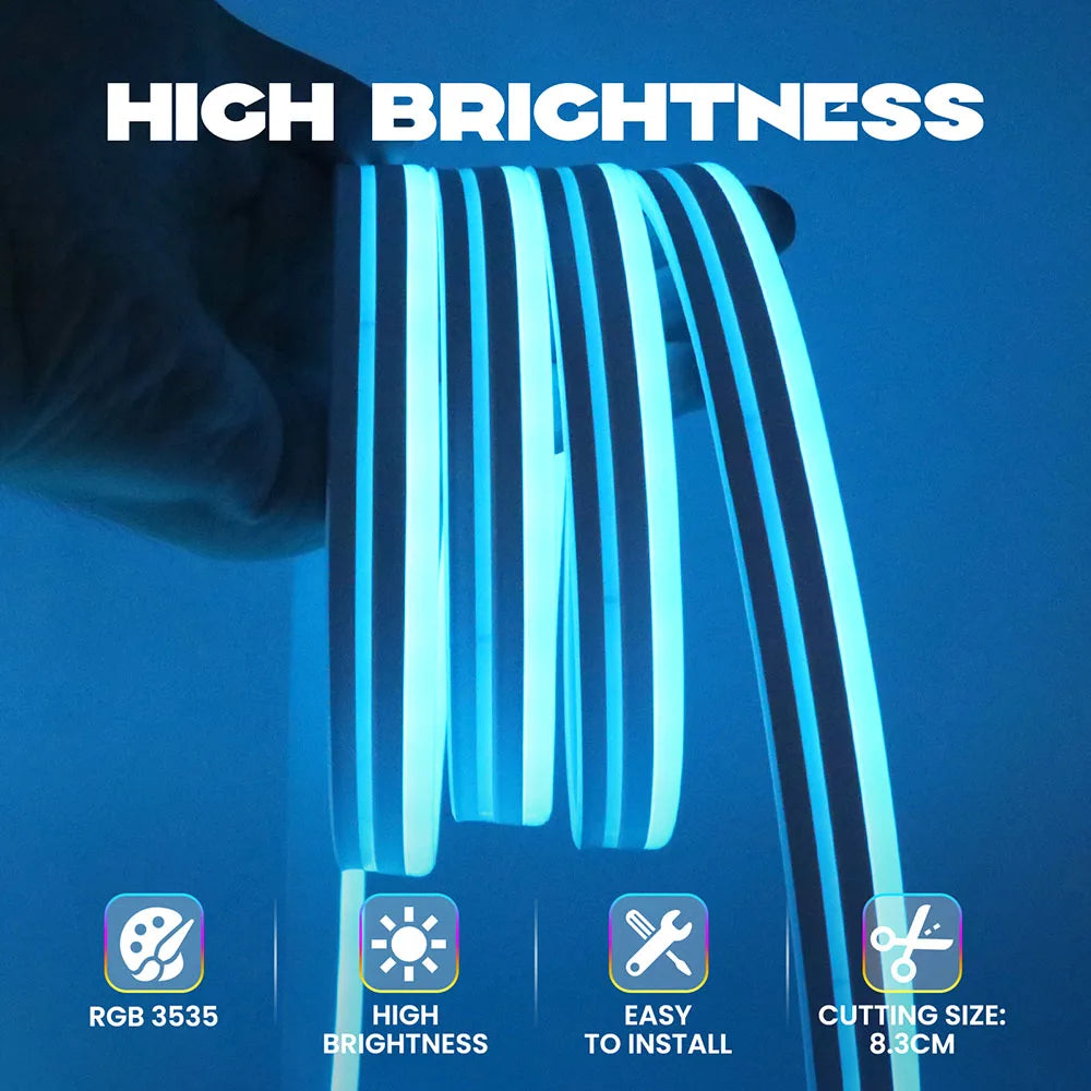 RGB Neon LED Strip 24V Bluetooth Music Sync Waterproof Rope Light