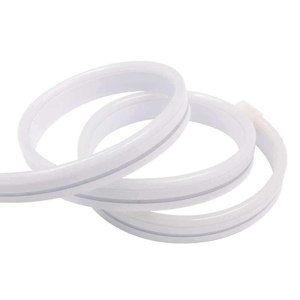 RGB Neon LED Strip 24V Bluetooth Music Sync Waterproof Rope Light