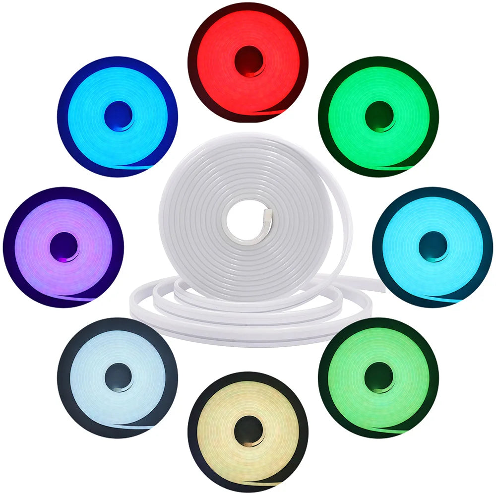RGB Neon LED Strip 24V Bluetooth Music Sync Waterproof Rope Light